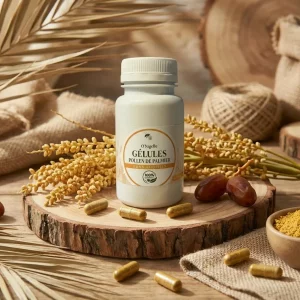 Gélules Pollen de Palmier