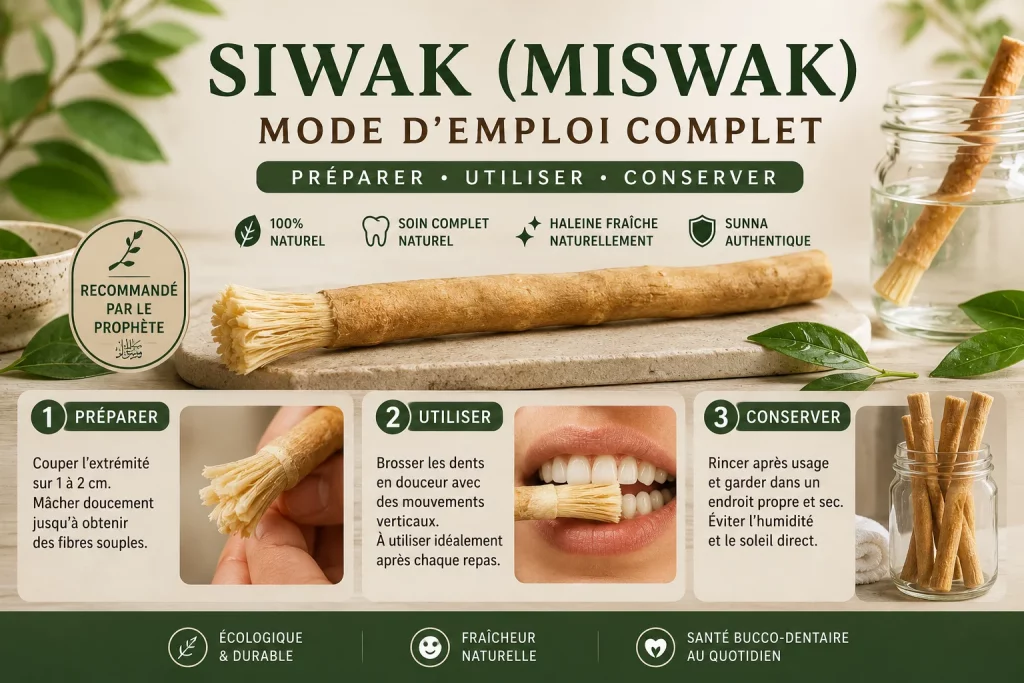 Siwak (Miswak) : Mode d’Emploi Complet — Préparer, Utiliser, Conserver