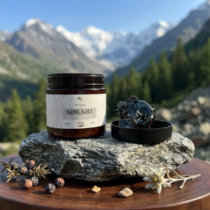 Shilajit Brut de l'Altaï - 50g