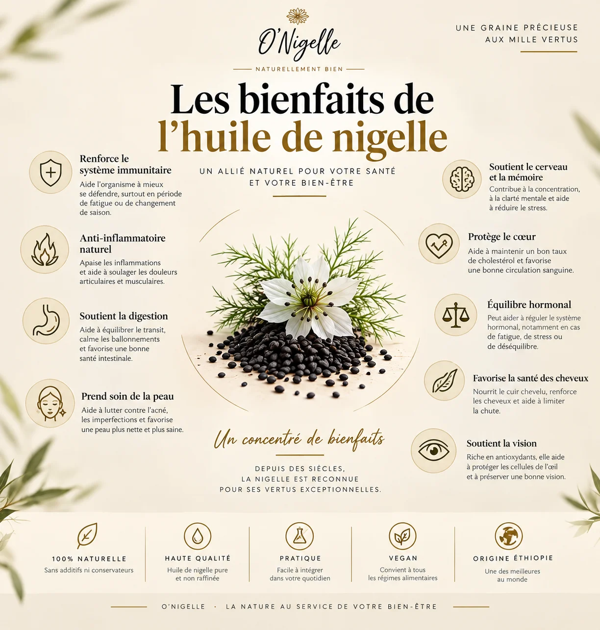 Capsules d'Huile de Nigelle d'Éthiopie — 60 Capsules Végétales – Image 3