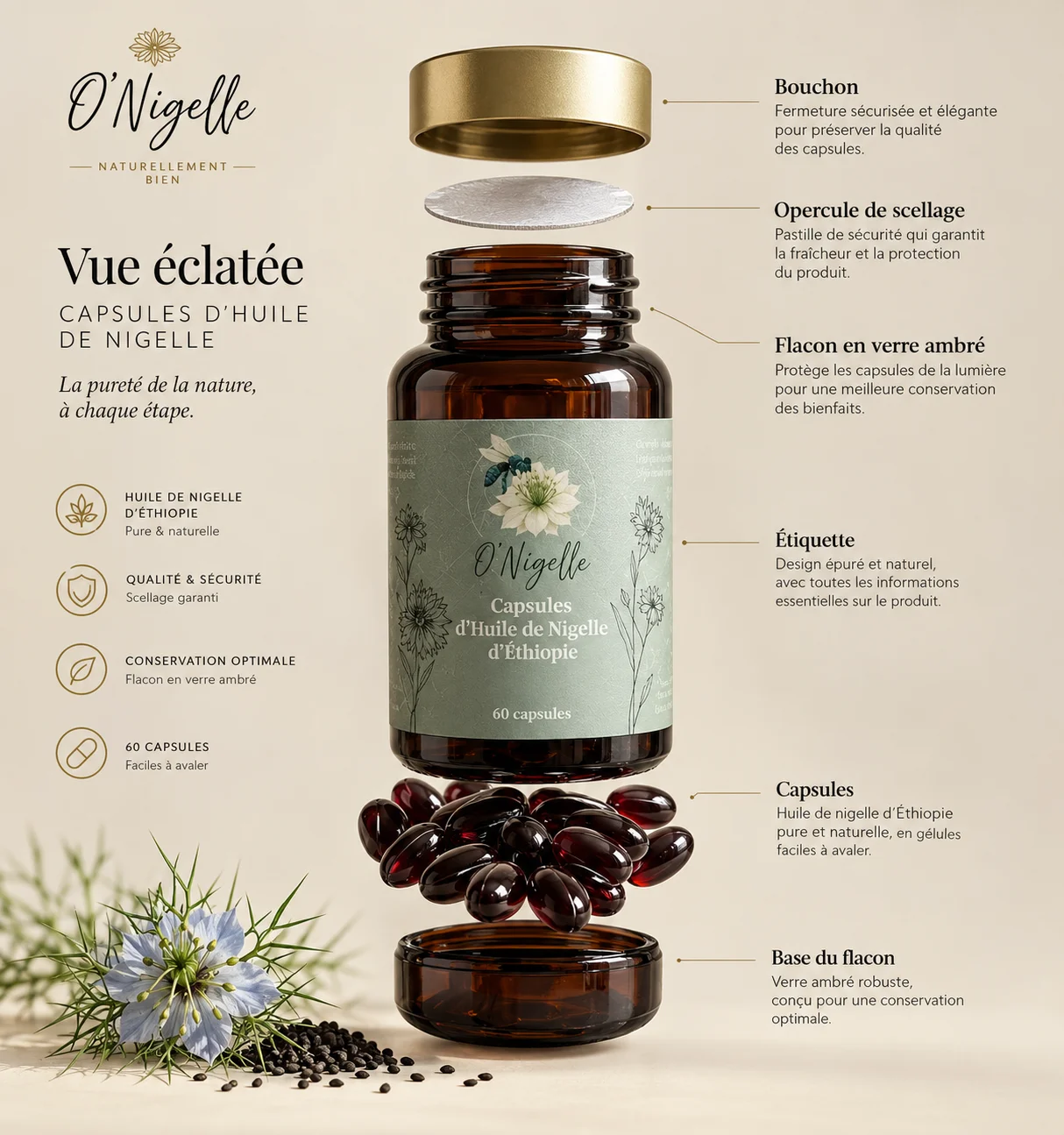 Capsules d'Huile de Nigelle d'Éthiopie — 60 Capsules Végétales – Image 2